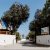 Camping Pineta - Porto Recanati - Macerata - Marche