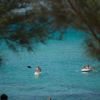 Persone in kayak e gommoni su un mare blu, viste attraverso rami di alberi.