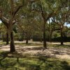 Viale alberato con molta ombra.