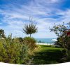 Giardino con piante e vista mare sullo sfondo.