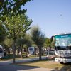 Camper parcheggiati tra alberi in un campeggio.