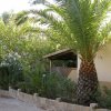 Giardino con una palma alta e piante verdi, vicino a un edificio dal tetto spiovente.