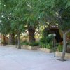 Cortile pavimentato con alberi e aiuole, accanto a un ingresso con cancello.