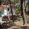 Villette bianche sparse tra pini, con giardino roccioso e piante grasse.