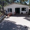 Casa bianca con patio pavimentato, sedie rosse, piante e alberi intorno.