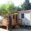 Casetta mobile con veranda in legno, albero di palma e bicicletta davanti.