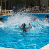 Persone che giocano in una piscina, creando schizzi d'acqua.