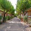 Stradina tra bungalows immersi nel verde, con piante e alberi su entrambi i lati.