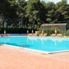 Piscina all'aperto circondata da lettini e ombrelloni, con alberi sullo sfondo.