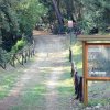 Sentiero nel bosco con un pannello informativo in legno.