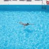 Persona che nuota in una piscina azzurra e limpida.