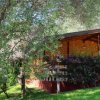 Un bungalow in legno circondato da alberi e cespugli fioriti.