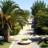 Sentiero alberato con palme lussureggianti e vista sul mare in lontananza.