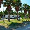 Area di sosta per camper circondata da palme.