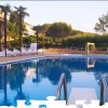 Piscina con scivolo, circondata da palme e lettini.
