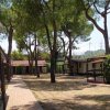 Area con bungalow tra alberi alti, vialetto in mattonelle su terreno erboso.