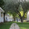 Sentiero tra villette con tettoie e alberi rigogliosi.