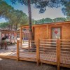 Struttura in legno con rampa d'accesso tra gli alberi.