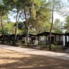 Bungalow tra gli alberi in un campeggio.