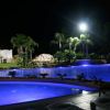 Piscina illuminata di notte, circondata da palme e un giardino.