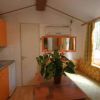 Interno di una cucina con mobili arancioni, tavolo in legno e pianta decorativa.