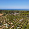 Vista dall'alto di bungalow tra alberi e mare in lontananza.
