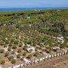 Area con bungalow e alberi vicino al mare.