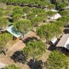 Bungalow con tetti in tessuto tra alberi verdi.