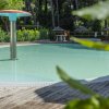 Piscina con ombrello rosso al centro e vegetazione intorno.