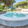 Vasca idromassaggio e piscina in un'area verde.