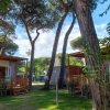 Case mobili in un campeggio tra gli alberi.