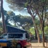 Furgone colorato tra gli alberi.
