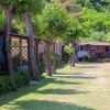 Bungalow lungo un prato ombreggiato da alberi, con vegetazione rigogliosa.