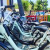 Biciclette azzurre parcheggiate in fila, davanti a una recinzione colorata, con alberi sullo sfondo.