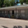 Una fila di bungalow all'ombra degli alberi, con sedie bianche davanti.