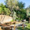 Un giardino con barbecue, tavoli in legno, vegetazione rigogliosa e un sentiero recintato.