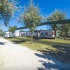 Area campeggio con camper e roulotte tra alberi sotto un cielo blu.