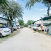Camper parcheggiati lungo un sentiero alberato in un campeggio.