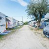 Area di campeggio con camper parcheggiati lungo un sentiero sterrato.