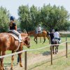 Persone a cavallo su un sentiero erboso, indossano caschi e sono circondate da alberi.