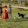 Tre donne e due cani in un'area verde con tavolo da picnic.