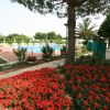 Un giardino fiorito con fiori rossi vicino a una piscina.