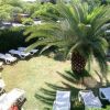 Lettini bianchi circondano una palma in un giardino verde.