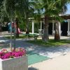 Area esterna con tavoli, sedie, palme e piante in vaso.