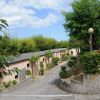 Sentiero tra villette circondate da alberi e vegetazione.