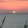 Tramonto sul mare con cielo rosa e nuvole, canne in primo piano.