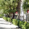 Un viale alberato in un campeggio con siepi ben curate e roulotte visibili.