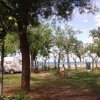 Campeggio con roulotte e alberi che si affacciano sul mare in lontananza.