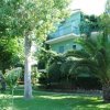 Casa verde tra alberi e palme.