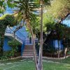 Casa blu con scala coperta da piante.